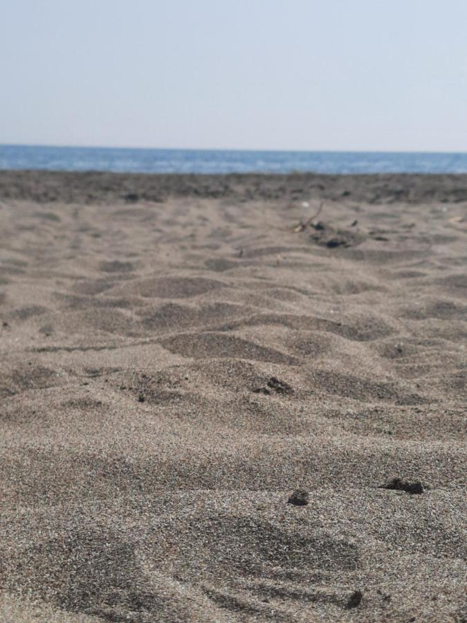 Vila Pushimi Regis Velipojë Zewnętrze zdjęcie